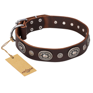'Extra Pizzazz' FDT Artisan Adorned Brown Leather Mastiff Collar