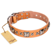 'Silver Chic' FDT Artisan Tan Leather Mastiff Collar with Silvery-plated Decorations