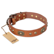 'Stunning Dress' FDT Artisan Tan Leather Mastiff Collar with Old Bronze Look Plates and Studs - 1 1/2 inch (40 mm) wide