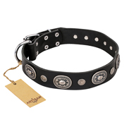 'Black Tie' FDT Artisan Black Leather Mastiff Collar with Old Silver-like Decorations - 1 1/2 inch (40 mm) wide