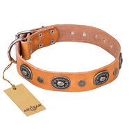 'Twinkle Twinkle' FDT Artisan Incredible Studded Tan Leather Mastiff Collar with Silver-Like Circles