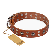 'Silver Elegance' FDT Artisan Tan Leather Mastiff Collar with Old Silver-Like Plated Studs and Cones 1 1/2 inch (40 mm) Wide