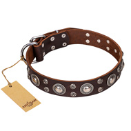 'Age of Beauty' FDT Artisan Studded Brown Leather Mastiff Collar