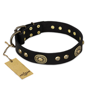 'High Fashion' FDT Artisan Studded with Plates Black Leather Mastiff Collar
