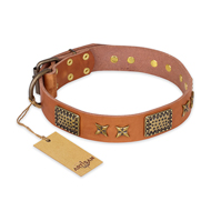'Cosmic Traveller' FDT Artisan Adorned Leather Mastiff Collar with Old Bronze-Plated Stars and Plates