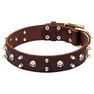 Mastiff Rock Style Brown Leather Dog Collar with Brass Spikes and Skulls