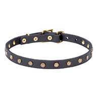 Mastiff Starred Leather Dog Collar