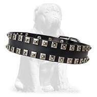 Leather Mastiff Collar with Nickel Plates