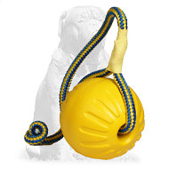 Mastiff Large Foam Ball with Strong String Mastiff Large Foam Ball with Strong String
