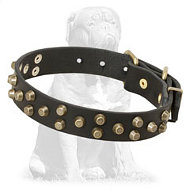 Mastiff Fancy Designer Leather Collar with Studs