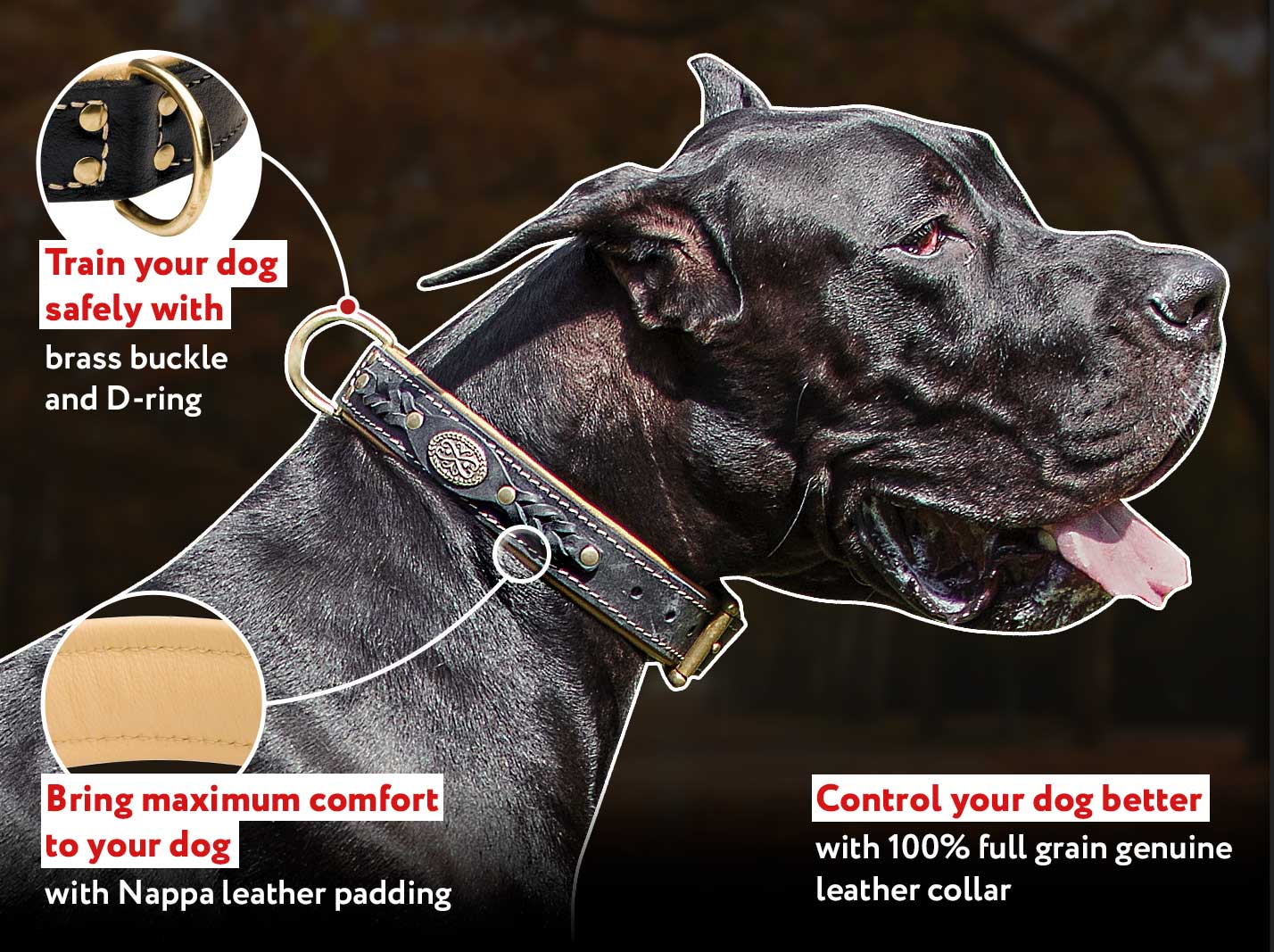 German 【Mastiff】 Leather Dog Collar Nappa Padded Mastiff harness