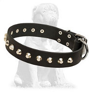 Mastiff Leather Dog Collar with Nickel Plated Pyramids