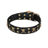 'Jolly Rojer' FDT Artisan Leather Mastiff Collar with Pirate Skulls and Studs - 1 1/2 inch (40 mm) wide