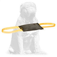 Mastiff Leather Bite Tug for Advanced Puppy / Young Dog Training