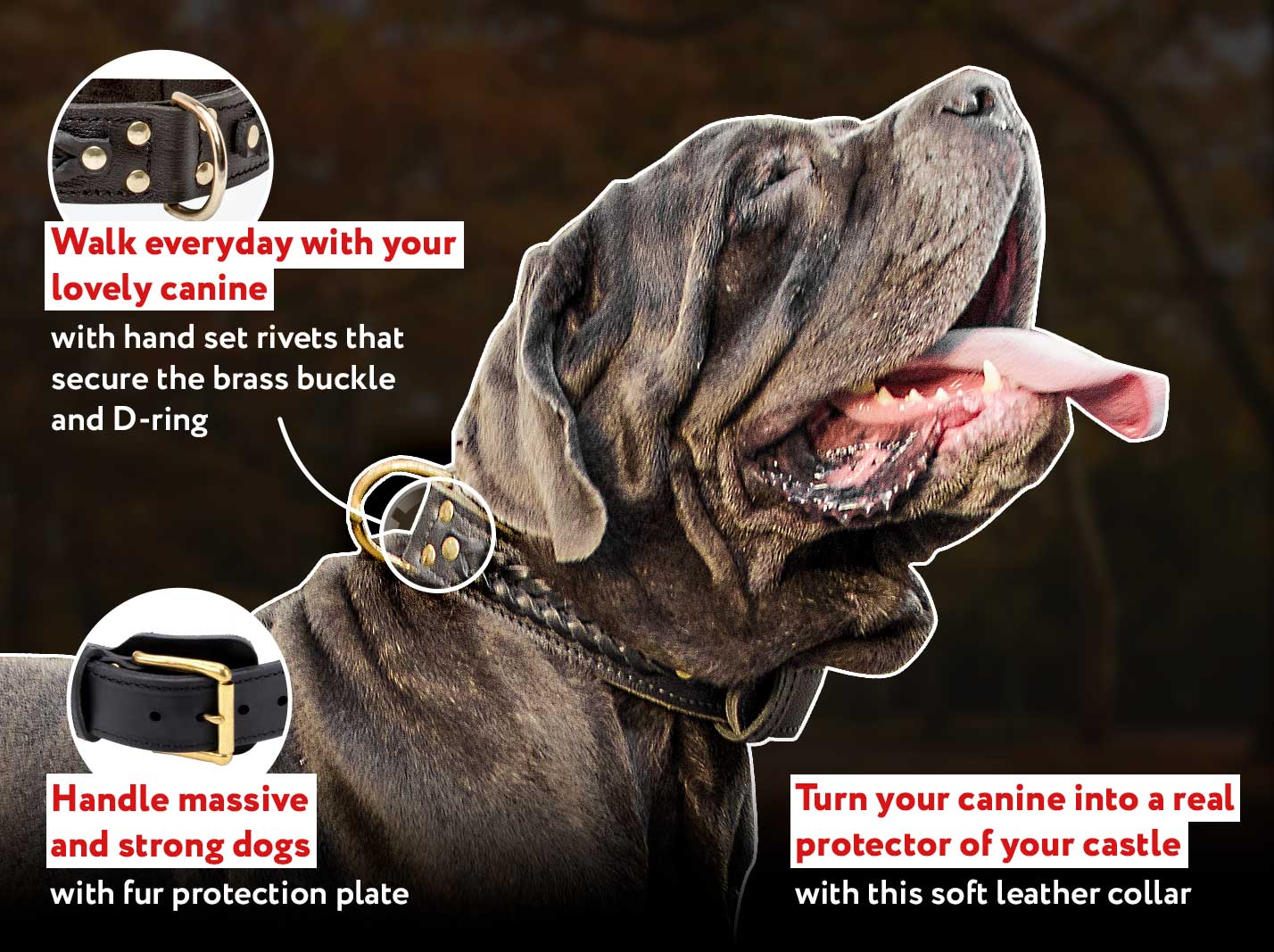 Buy Mastiff Collar Leather Nylon Dog Collars Training & Walking