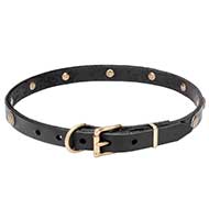Mastiff Sunny Leather Dog Collar with Engraved Brass Studs