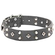 Mastiff Leather Dog Collar with Decorative Pyramids