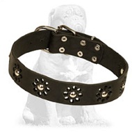 Mastiff Elegant Leather Dog Collar with Flowers Mastiff Elegant Leather Dog Collar with Flowers