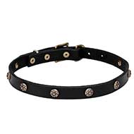 Mastiff Leather Dog Collar with Engraved Round Studs