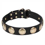 Mastiff Brass Studded Leather Dog Collar for Walking Mastiff Brass Studded Leather Dog Collar for Walking