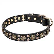 Mastiff Wide Leather Dog Collar with Massive Brass Decorations