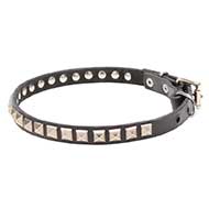 Mastiff Leather Dog Collar with Chrome Plated Square Studs