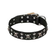 FDT Artisan 'Rock 'n' Roll Style' Fancy Leather Mastiff Collar with Skulls, Bones and Studs 1 1/2 inch (40 mm) wide