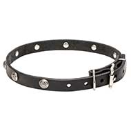 Mastiff Leather Dog Collar with Nickel Plated Engraved Studs Mastiff Leather Dog Collar with Nickel Plated Engraved Studs