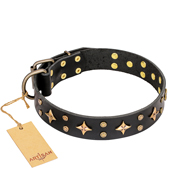 "A La Mode" FDT Artisan Exclusive Black Leather Mastiff Collar