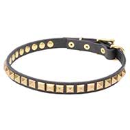 Mastiff Narrow Leather Dog Collar with Brass Studs