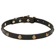 Mastiff Leather Canine Collar with Brass Decorations Mastiff Leather Canine Collar with Brass Decorations