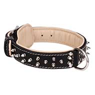 Exquisite Mastiff Leather Collar with Nickel Spikes