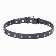 Mastiff Star Studded Leather Dog Collar
