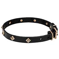 Mastiff Leather Dog Collar with Brass Plated Rhombs