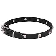 Mastiff Leather Dog Collar with Chrome Plated Pyramids 3/4 Inch (20 mm) wide