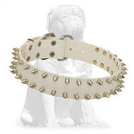 Mastiff Fashion White Leather Dog Collar with Spikes Mastiff Fashion White Leather Dog Collar with Spikes