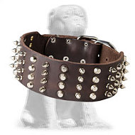 2 inch Leather Dog Collar with Studs and Spikes for Mastiff