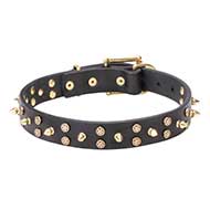 Mastiff Leather Dog Collar with Brass Stars and Spikes