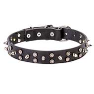 Mastiff Star Decorated Leather Dog Collar