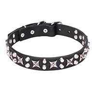Mastiff Leather Dog Collar with Chrome Plated Hardware