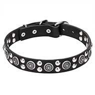 Mastiff Leather Dog Collar with Silver-like Circles and Round Studs