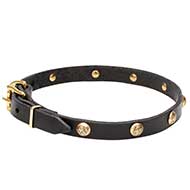 Mastiff Leather Dog Collar with Brass Round Studs with Engraving