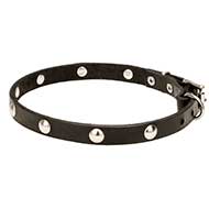 Mastiff Leather Dog Collar with Half-Ball Chrome Plated Studs