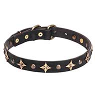 Mastiff Leather Dog Collar with Old Bronze-plated Half-ball Studs and Stars