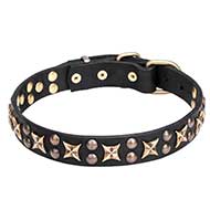 Mastiff Leather Dog Collar with Vintage Stars and Studs