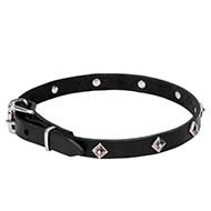 Mastiff Narrow Leather Dog Collar with Chrome Plated Studs