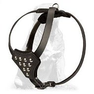 Mastiff Designer Leather Dog Harness for Puppies