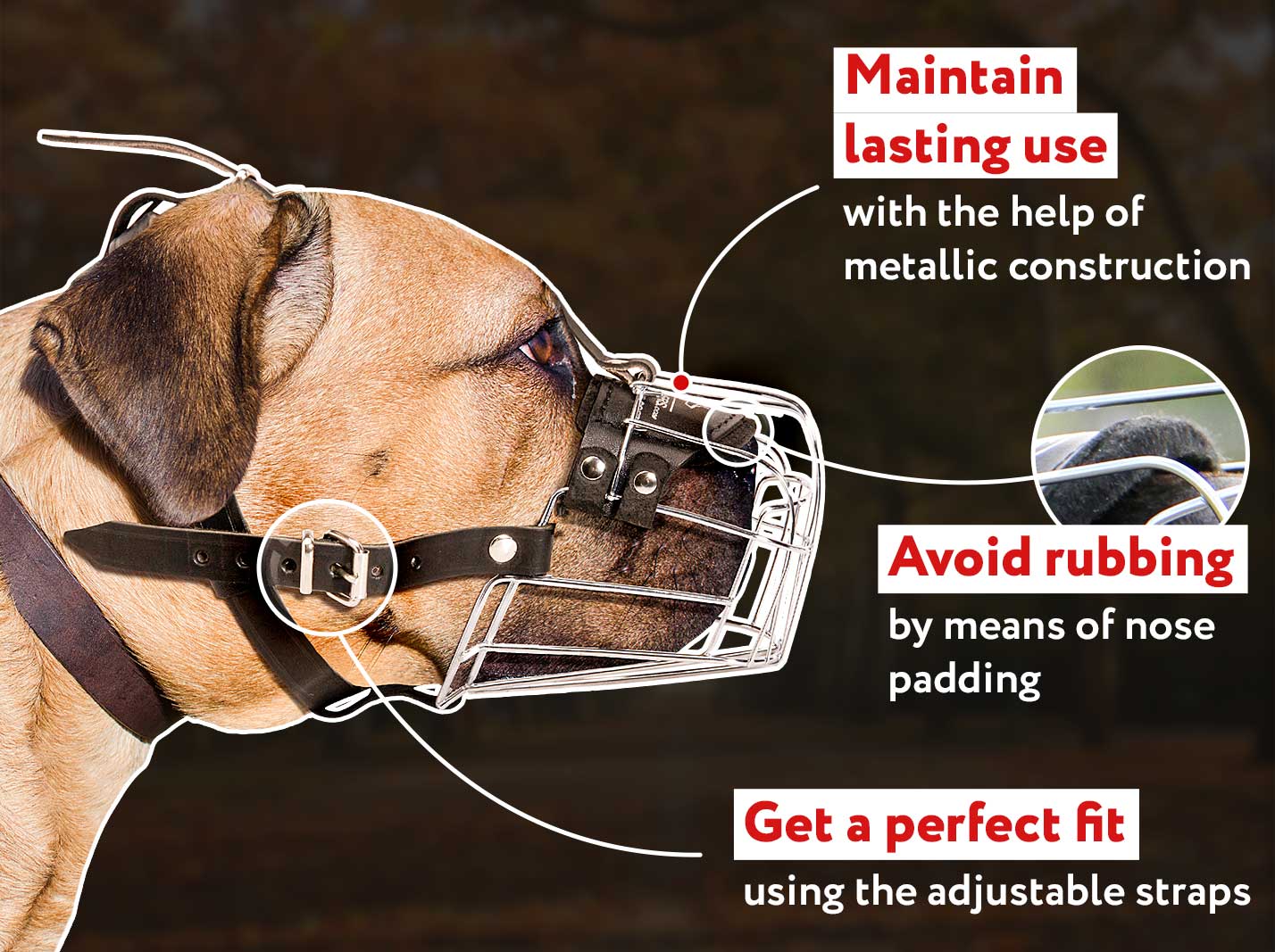 Secure Genuine Leather Basket Dog Muzzle Mastiff Saint Bernard Great Dane 