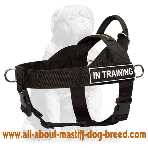 SAR Harness for Mastiff - Search&Rescue Nylon Dog Harness SAR Harness for Mastiff - Search&Rescue Nylon Dog Harness