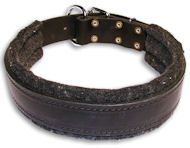 Padded Black collar 26'' for Mastiff /26 inch dog collar - C24